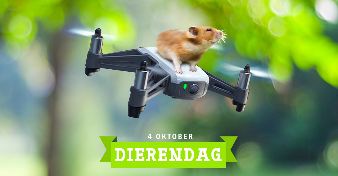 1538575807-dierendag_hamster-op-drone.jpg