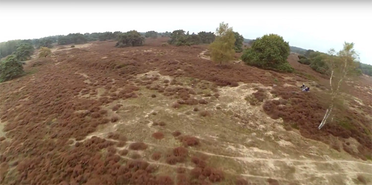 FPV Freestyle in de Drenthse heide