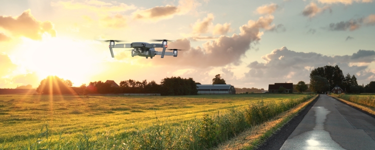 Prachtige dronevideo van de Drunense Duinen gemaakt met DJI Mavic Pro