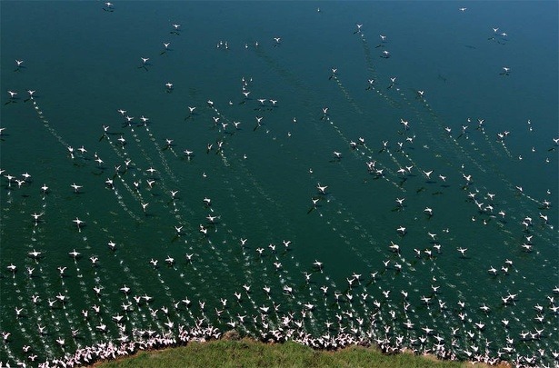 national-geographic-photo-contest-2015-yu-huiping